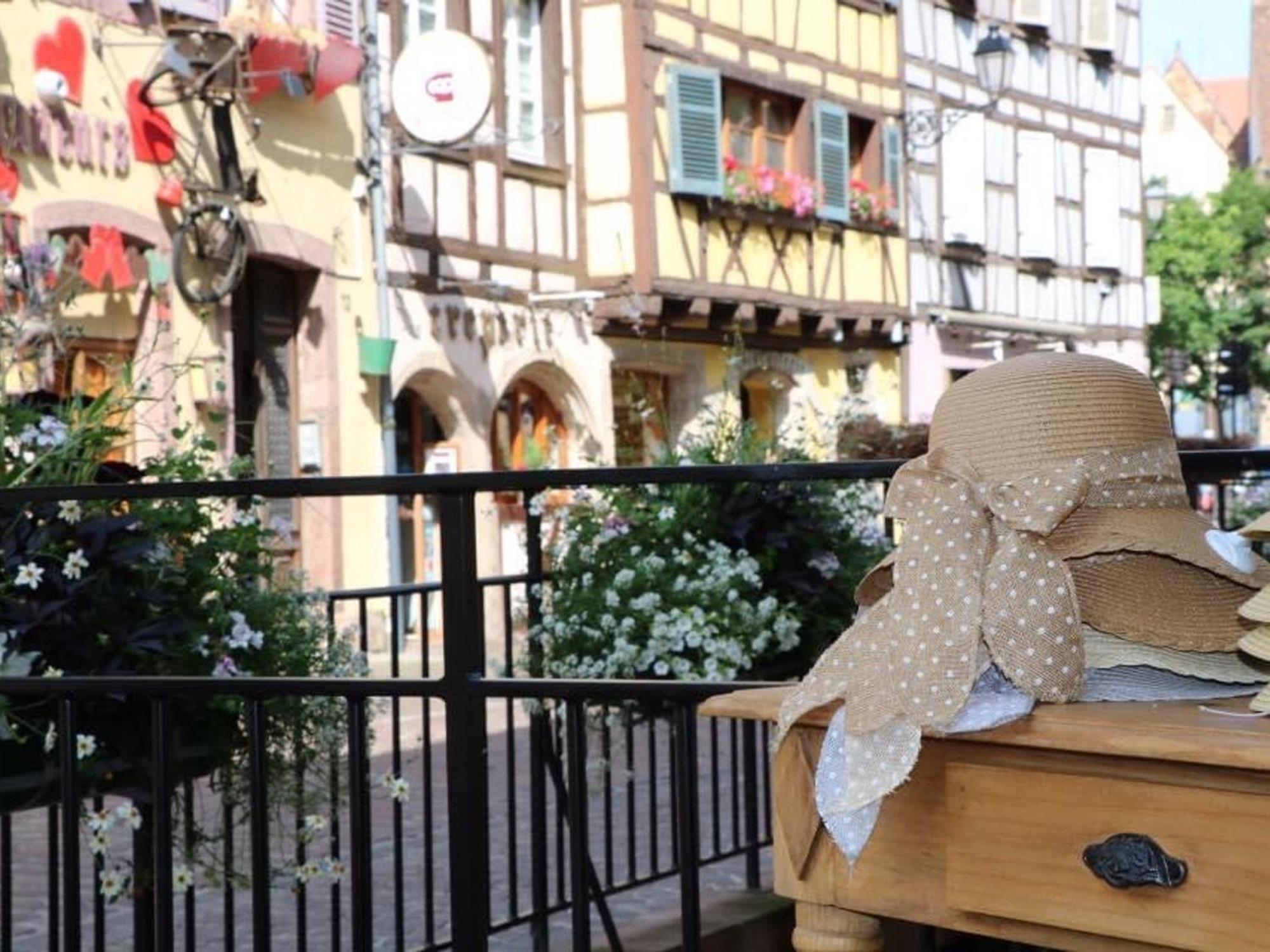 Avec Garage Et Terrasse Au Coeur De Colmar, Pres De La Route Des Vins D'alsace - Fr-1-722-6 Appartement *